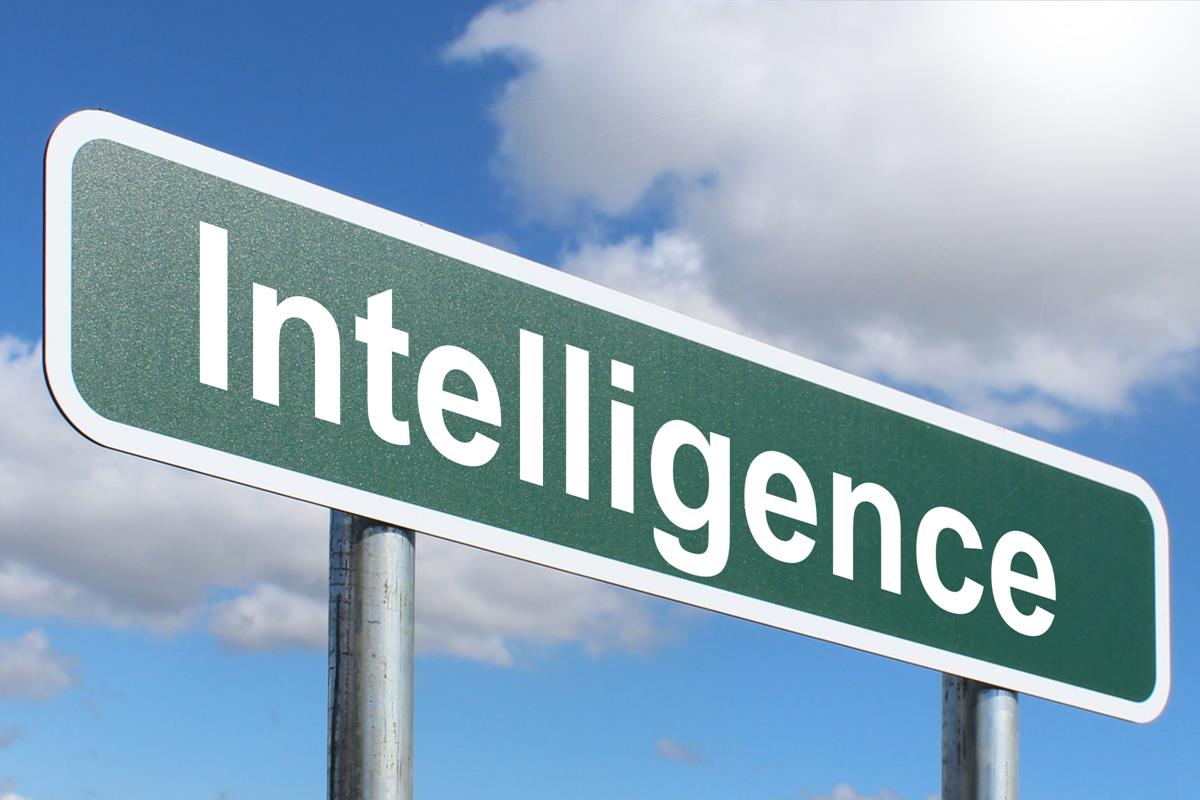 intelligence
